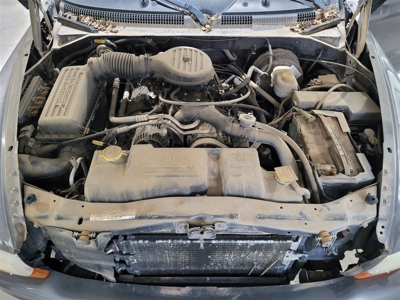 Automatic Transmission 2WD 5.9L 8-360 Fits 01-03 DAKOTA 1137084