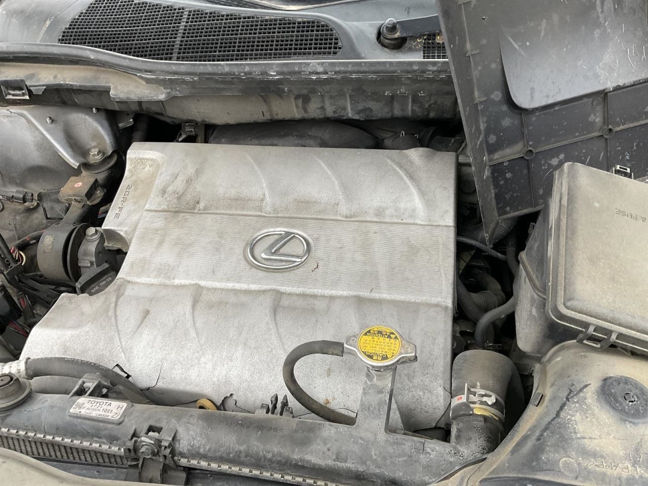 Transfer Case Fits 10-22 LEXUS RX350 5347008