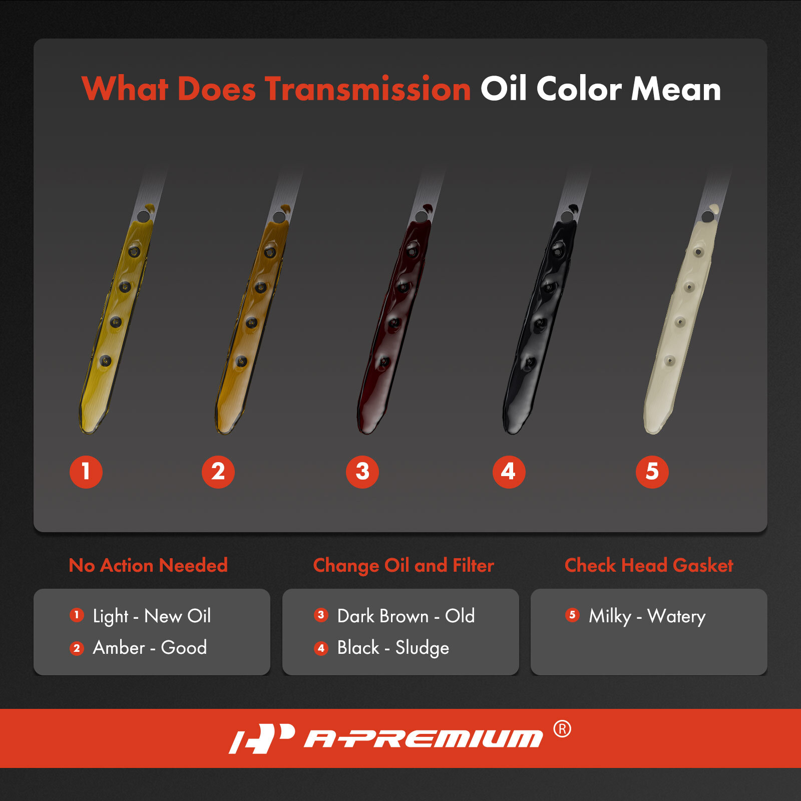 A-Premium Transmission Dipstick Oil Fluid Level Tool for Mercedes-Benz C230 C350
