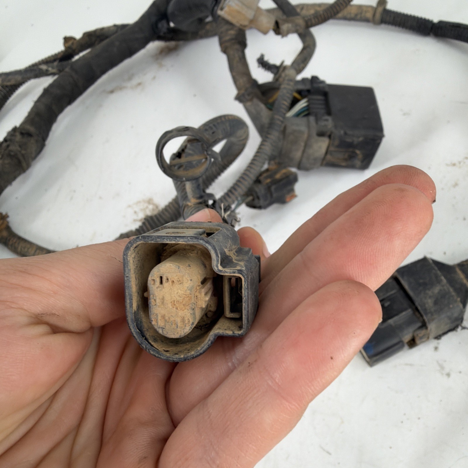 2011 DODGE RAM 2500 3500 MOPAR CUMMINS TRANSMISSION WIRING 68072209AB 68250763AA