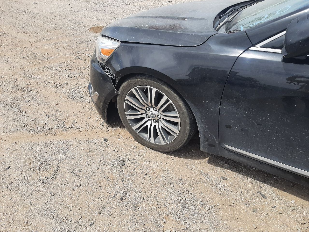 Flywheel/Flex Plate Automatic Transmission Fits 06-12 14-21 SEDONA 205831