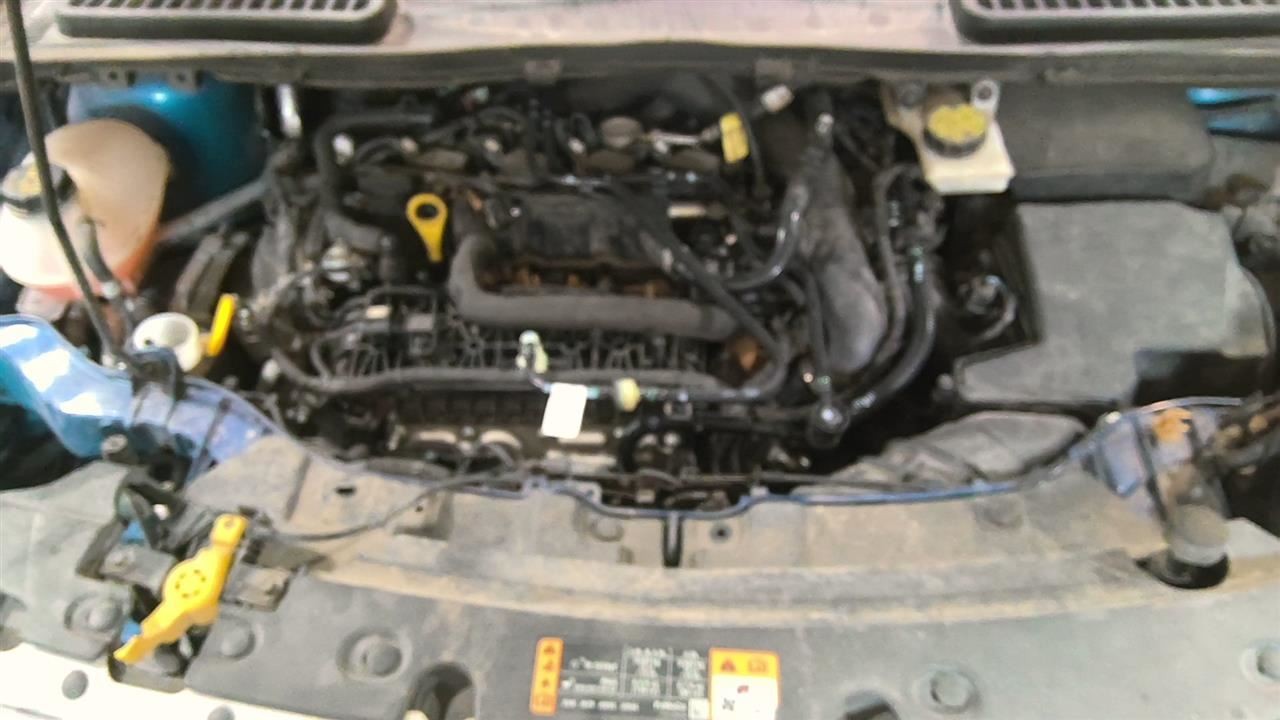 2019 Ford Escape Automatic Transmission Oil cooler