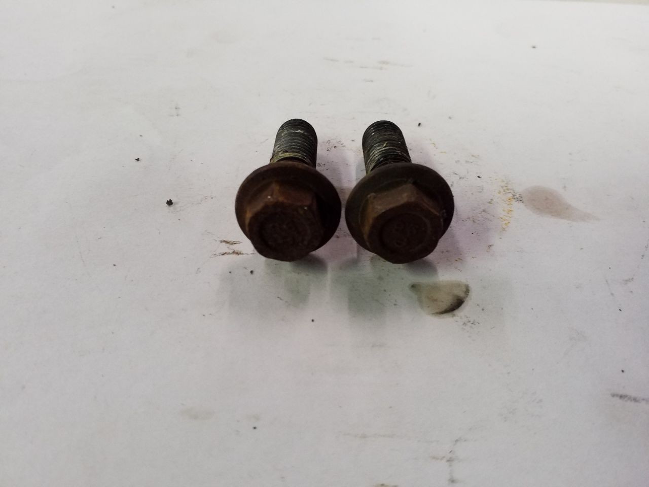 Transfer Case Tail Housing Bolts Qty 2 Fits 03 04 05 06 07 08 09 Ford F250 F350