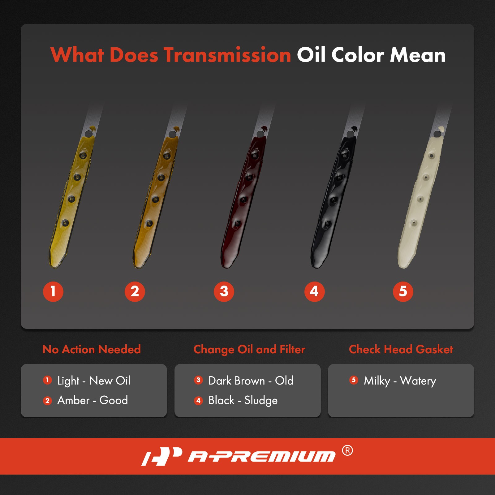 A-Premium Automatic Transmission Dipstick for Chevy Express 1500 GMC Savana 1500