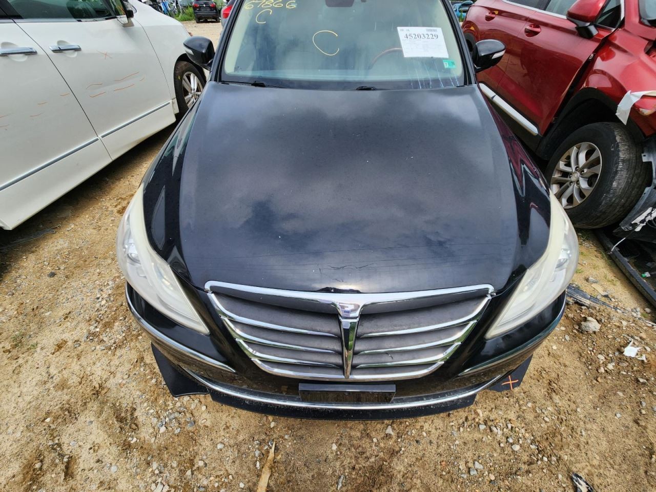Automatic Transmission 5.0L 8 Speed Fits 12 EQUUS 3005281