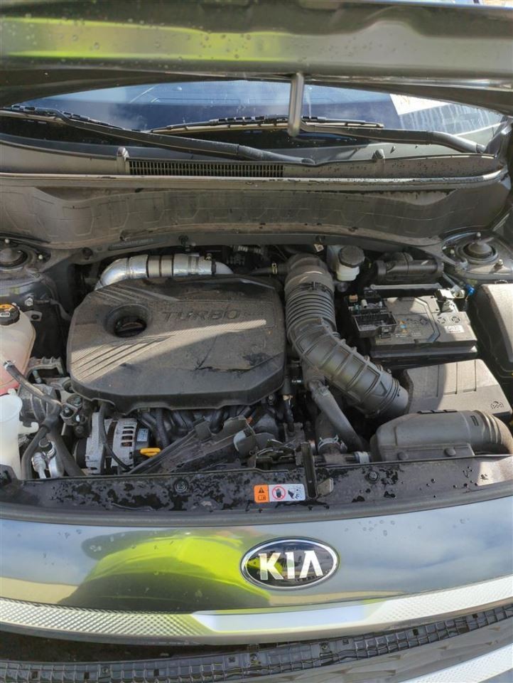 Transfer Case AWD 1.6L Turbo Fits 18-23 KONA 168012