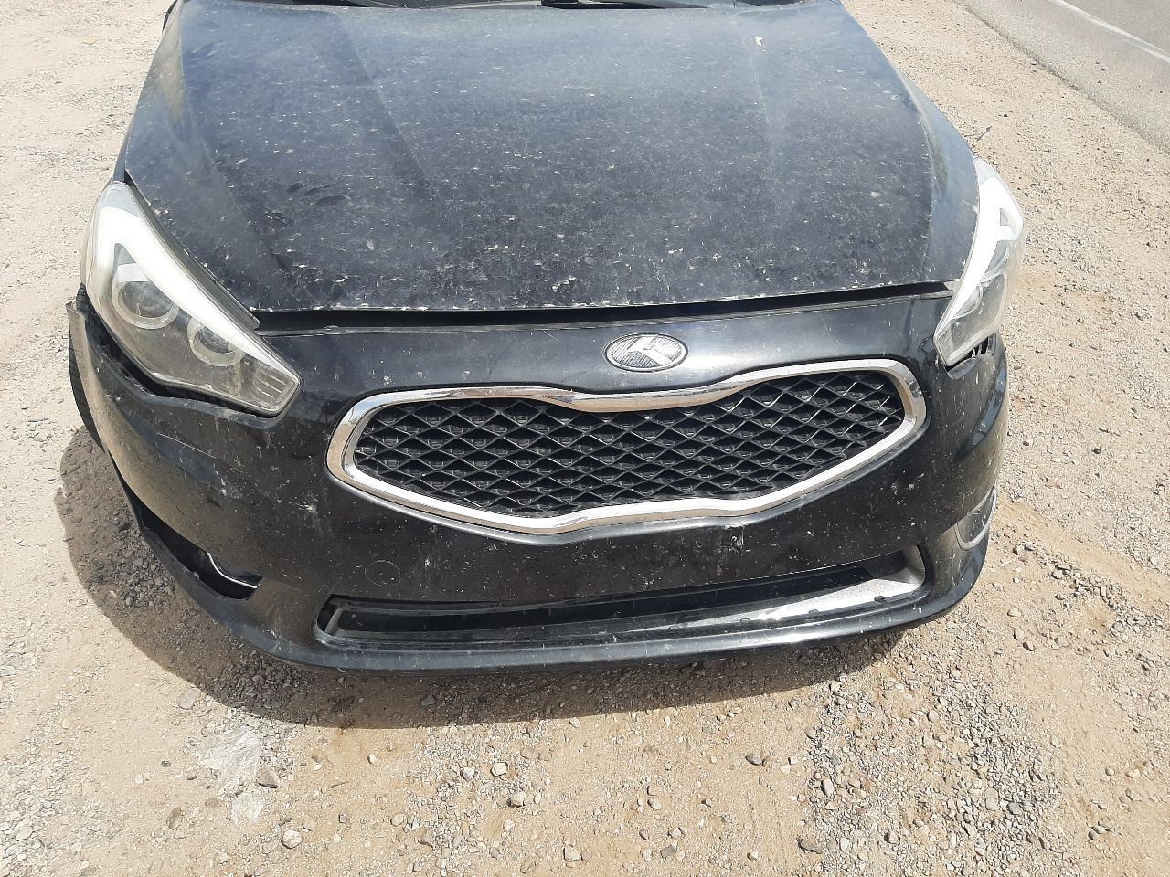 Flywheel/Flex Plate Automatic Transmission Fits 06-12 14-21 SEDONA 205831