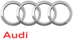 Genuine Audi Magnet 8V7-837-343