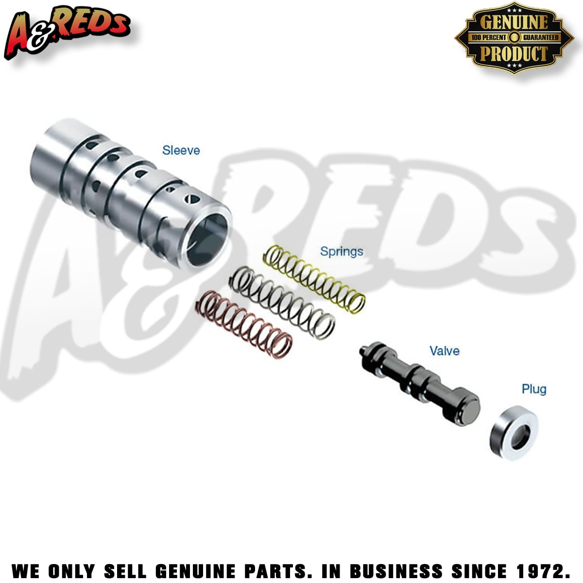 Sonnax 4L60E 4L60 700-R4 200-4R Accumulator Valve Train Kit (#77777M-K)