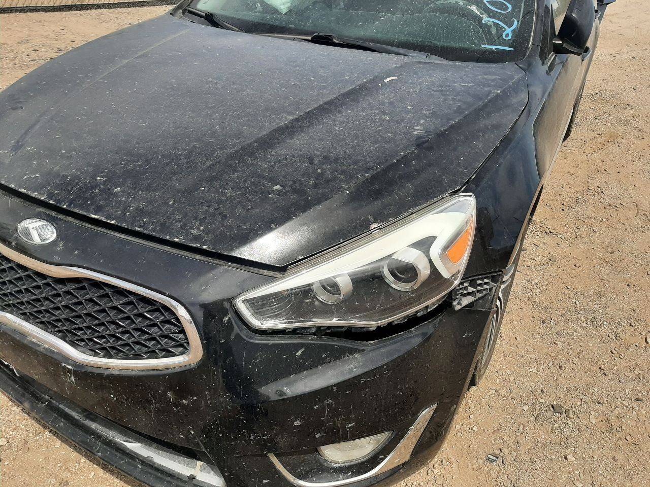 Flywheel/Flex Plate Automatic Transmission Fits 06-12 14-21 SEDONA 205831